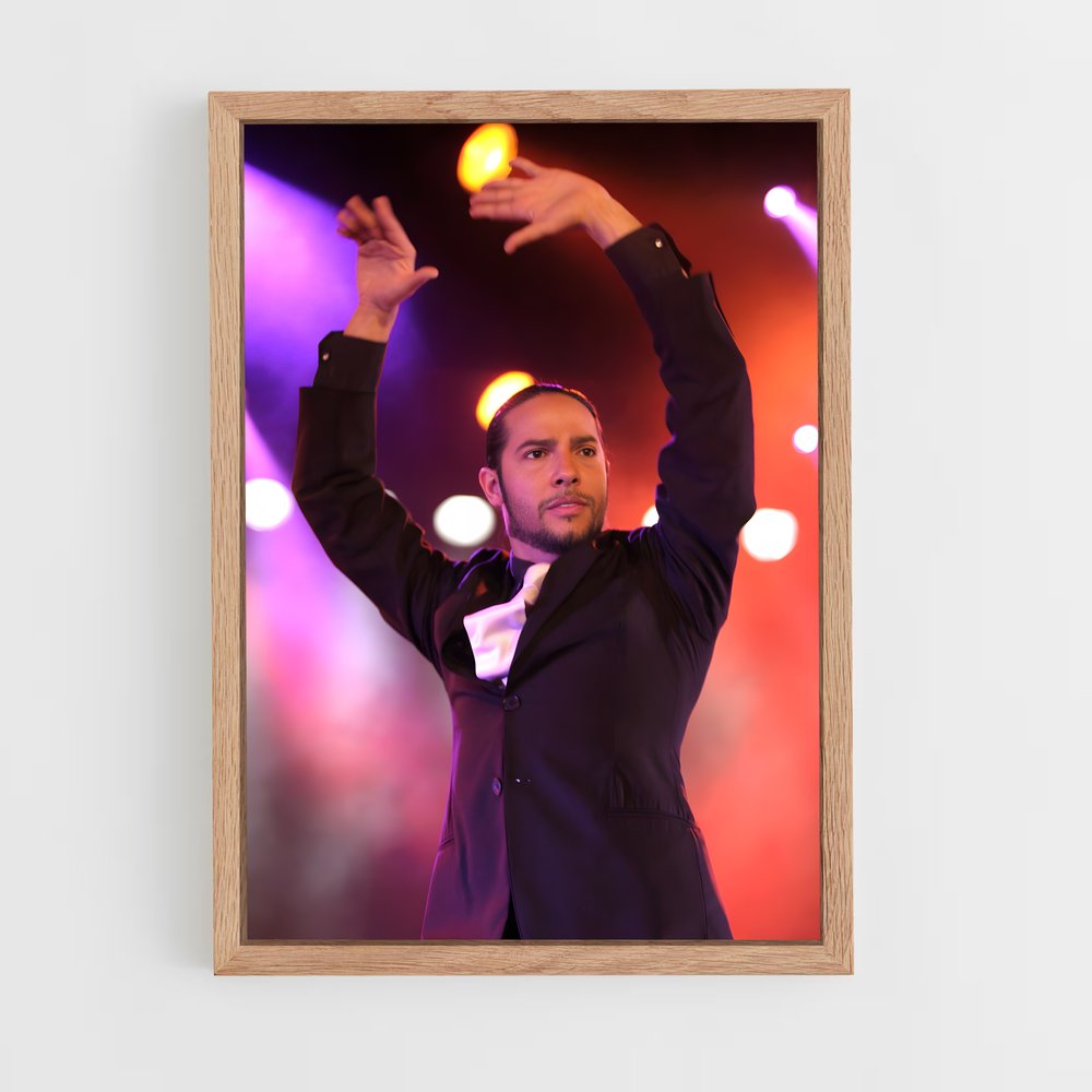 Poster Joaquin de cortes – affiche Danse (vue 4)